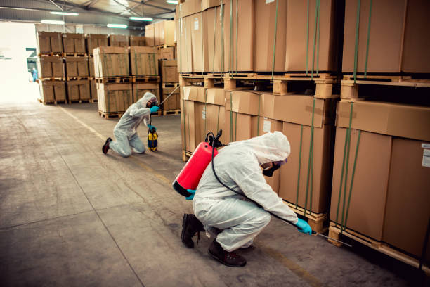 Best Affordable Pest Control Services  in Green Springs, OH