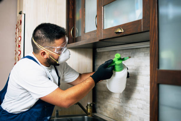 Best Insect Control  in Green Springs, OH