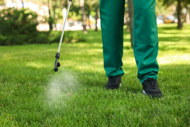 Reliable Green Springs, OH Pest Control Solutions