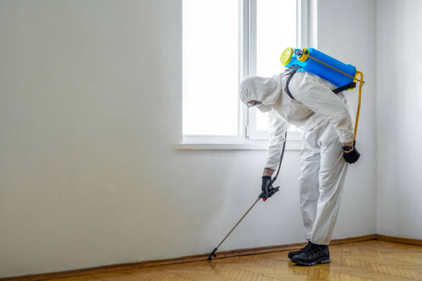 Best Flea Control Services  in Green Springs, OH