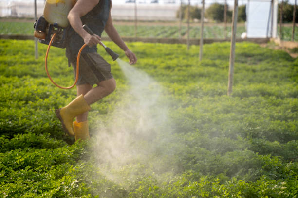 Best Commercial Pest Control Services  in Green Springs, OH