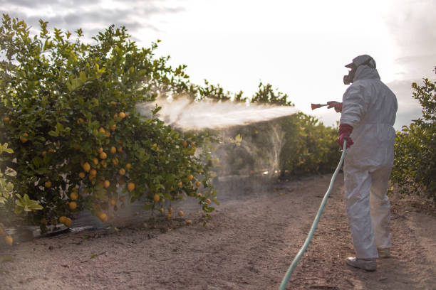 Best Bed Bug Extermination  in Green Springs, OH
