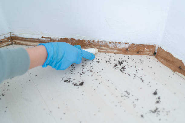 Best Exterminator Services  in Green Springs, OH