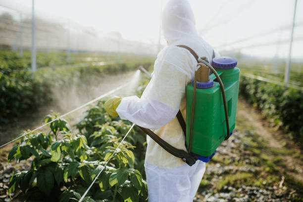 Best Termite Control Services  in Green Springs, OH